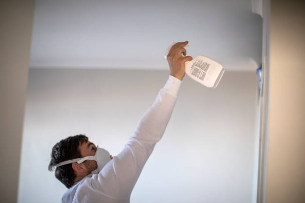 Best Fast Mold Removal  in Haiku Pauwela, HI