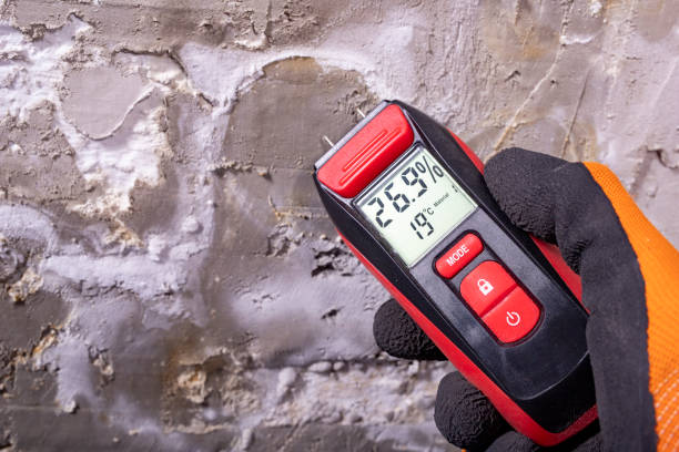 Home Mold Removal in Haiku Pauwela, HI