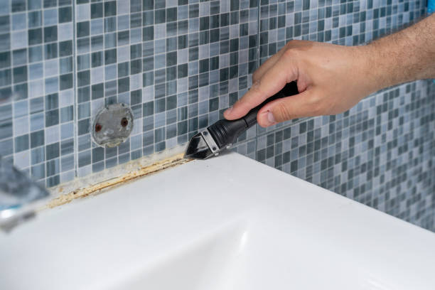 Mold Testing and Removal in Haiku Pauwela, HI